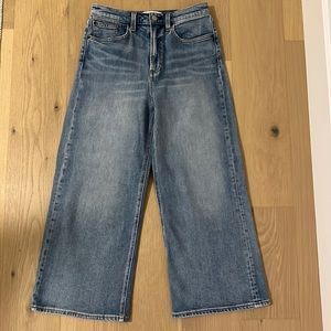 Aritzia - Denim Forum - Joan Wide Leg